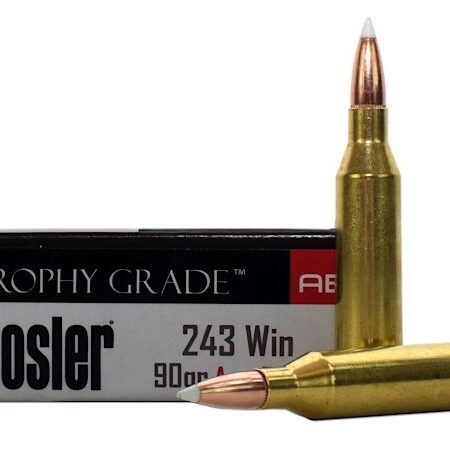 Nosler Trophy Grade .243 Winchester 90 Gr. AccuBond- Box of 20